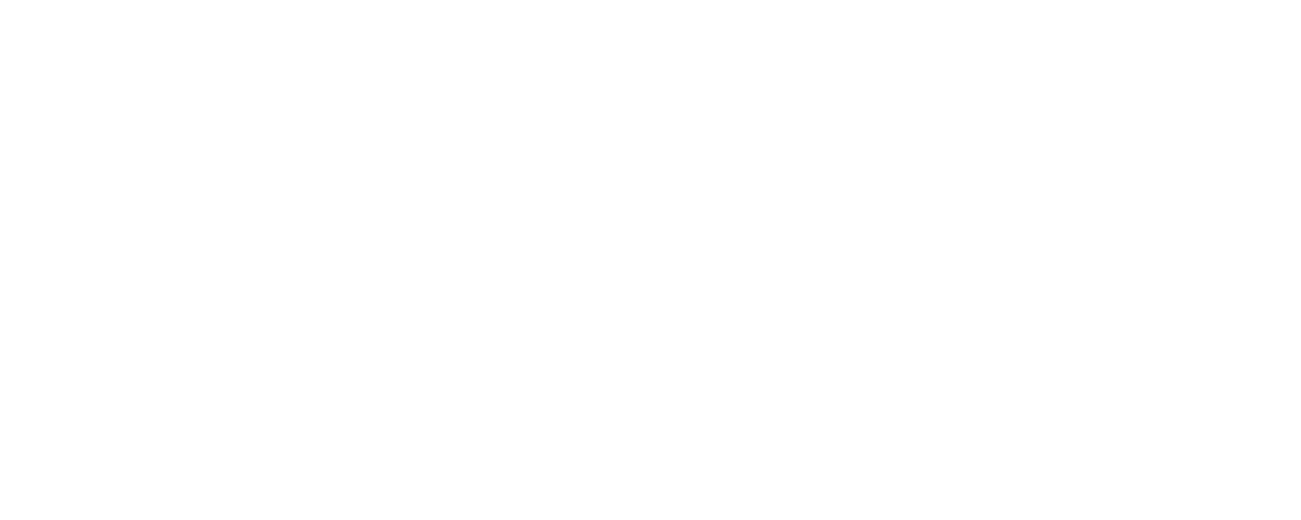 Fiestagrafía Paradise